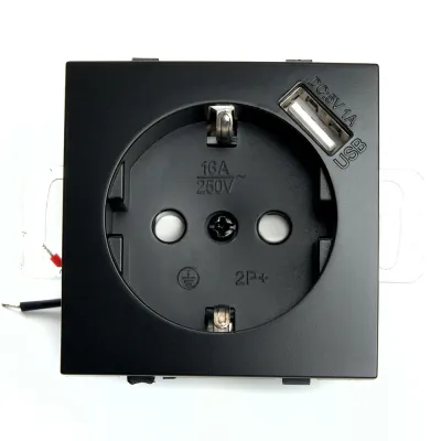 Розетка 1-местная с/з (механизм)  и с USB, серия Эрна, PST16-9111-03, черный