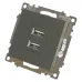 Розетка 2-местная USB (механизм), 250В, 2,1А, серия Катрин, графит, GLS10-7115-06