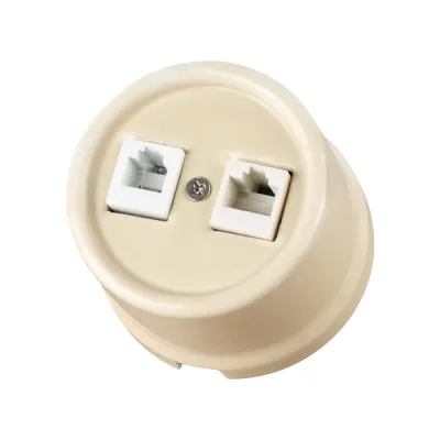 Розетка телефонная RJ11 + компьютерная RJ45 сл. кость Болонь TDM