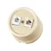Розетка телефонная RJ11 + компьютерная RJ45 сл. кость Болонь TDM Розетка телефонная RJ11 + компьютерная RJ45 сл. кость Болонь TDM