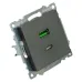 Розетка 2-местная USB + type C (механизм), 250В, 3А, max 20W, серия Катрин, графит, GLS10-7116-06