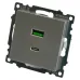 Розетка 2-местная USB + type C (механизм), 250В, 3А, max 20W, серия Катрин, серебро, GLS10-7116-03