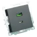 Розетка 2-местная USB + type C (механизм), 250В, 3А, серия Катрин, GLS10-7116-05, черный