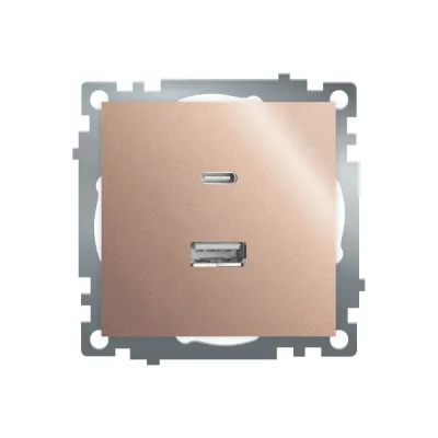 Розетка 2-местная USB + type C (механизм), 250В, 3А, max 20W, серия Катрин, GLS10-7116-02, шампань