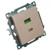 Розетка 2-местная USB + type C (механизм), 250В, 3А, max 20W, серия Катрин, GLS10-7116-02, шампань