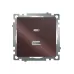 Розетка 2-местная USB + type C (механизм), 250В, 3А, max 20W, серия Катрин, GLS10-7116-04 шоколад