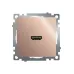 Розетка HDMI 2.1, Type A (механизм), серия Катрин, GLS00-7118-02, шампань