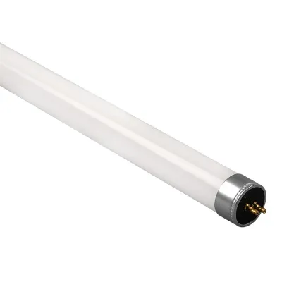 PLED  T5 - 600GL  8w FROST 6500K G5 230V/50Hz (стекло)   Jazzwa