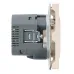 Розетка 1-местная з/ш с/з 16А + USB + Type C (механизм), 250В, 20W, серия Эмили, RST16-5119-08, кашемир, soft touch