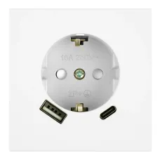 Розетка 1-местная з/ш с/з 16А + USB + Type C (механизм), 250В, 20W, серия Мия, RST16-3119-01, белая магнолия
