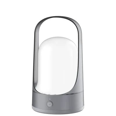 Фонарь-светильник универсальный Accu5-L60-gy