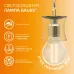 Лампа Gauss Filament Elementary Шар 8W 510lm 2700К Е14 LED 1/10/100