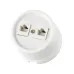Розетка двойная компьютерная RJ45 белая Болонь TDM