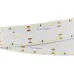 Лента светодиодная 25 Вт/м 24В IP20 6000K 280LED/м S2-A280-34mm SMD 2835 2.5 м