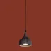 Светильник подвесной Terra FR5582PL-01GF Черный