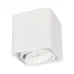 Светильник SP-CUBUS-S100x100-8W Warm3000 (WH, 45 deg, 230V) (IP20 металл, 3 года) Светильник SP-CUBUS-S100x100-8W Warm3000 (WH, 45 deg, 230V) (IP20 металл, 3 года)