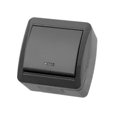 Выключатель 1-кл. открытой установки с подсветкой IP44 10А серый Селигер TDM