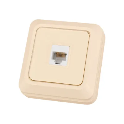 Розетка компьютерная (RJ-45) открытой установки IP20, сл. кость Ладога
