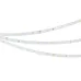 Лента светодиодная 2,9 Вт/м 24В IP20 4000K 30LED/м RT-A30-8mm  SMD 2835 5 м