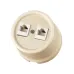 Розетка двойная компьютерная RJ45 сл. кость Болонь TDM