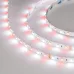 Лента светодиодная 14.4 Вт/м 24В RGBW-White IP20 60LED/м RT-B60-10mm SMD 5060 5м открытый