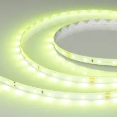Лента светодиодная 4,8 Вт/м 24В IP20 Салатовый 60LED/м RT/RTW-A60-8-11mm SMD 2835 5 м