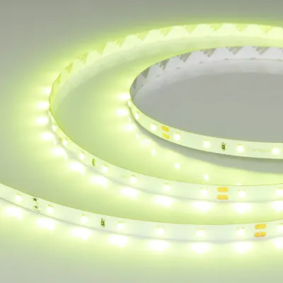 Лента светодиодная 4,8 Вт/м 24В IP20 Салатовый 60LED/м RT/RTW-A60-8-11mm SMD 2835 5 м