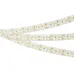 Лента светодиодная 24 Вт/м 24В 6000K IP20 320LED/м RT-A320-15mm SMD 2835 5 м