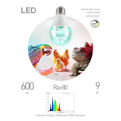 Лампа для птиц и рептилий ЭРА Chicken с UVB спектром FITO-Dim 9W E27