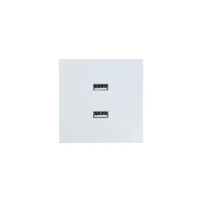 ZIMA Розетка 2-ая USB, механизм, белая Lezard 704-0288-192