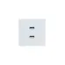 ZIMA Розетка 2-ая USB, механизм, белая Lezard 704-0288-192