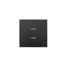 ZIMA Розетка с 2-ая USB, механизм, черный бархат Lezard 704-4288-192