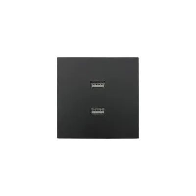 ZIMA Розетка с 2-ая USB, механизм, черный бархат Lezard 704-4288-192