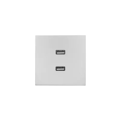 ZIMA Розетка 2-ая USB, механизм, серый матовый Lezard 704-7488-192