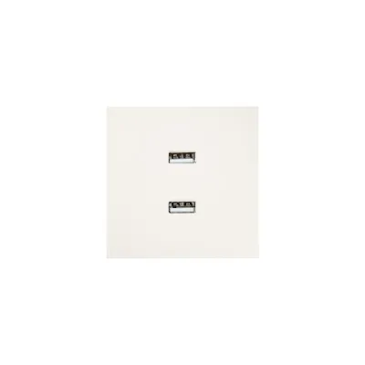 ZIMA Розетка 2-ая USB, механизм, слоновая кость Lezard 704-9088-192