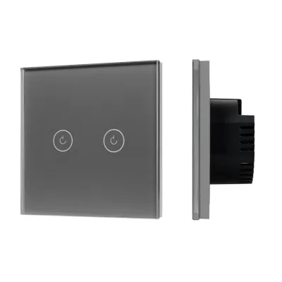 Выключатель сенсорный SWT-OMALI-S02-ZB-GR 250V, 10A, Zigbee Стекло