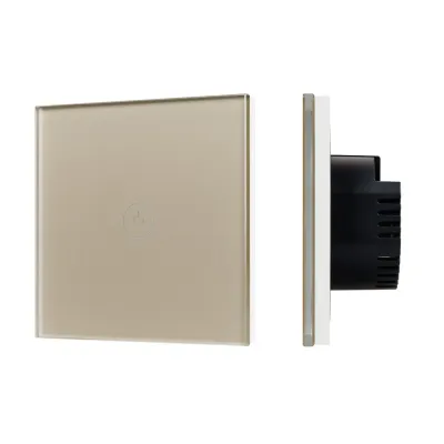 Выключатель сенсорный SWT-OMALI-S01-ZB-GD 250V, 10A, Zigbee Стекло