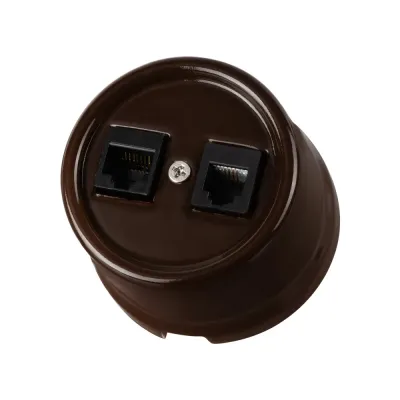 Розетка телефонная RJ11 + компьютерная RJ45 коричневая Болонь TDM