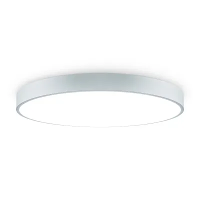 Светильник потолочный Sprida 80Вт IP 20 Freya FR6129CL-L80GR