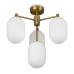 Светильник подвесной Sharlot 4х28Вт G9 IP20 Freya FR1012PL-04BS