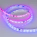Лента светодиодная 12 Вт/м 24В IP65 RGB 60LED/м SPI-B60-10-12mm SMD 5060 5 м