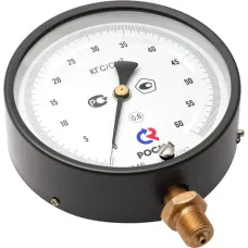ТМ-610РМТИ.00(0-0,6MPa)М20х1,5.0,6 ЗП
