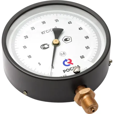 ТМ-610РМТИ.00(0-0,6MPa)М20х1,5.0,6 ЗП