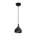 Светильник подвесной Terra FR5582PL-01GF Черный Светильник подвесной Terra FR5582PL-01GF Черный