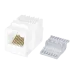 Keystone Jack 8P8C (RJ-45), UTP, Cat.5e. заделка без инструмента, белый