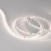 Лента светодиодная 14 Вт/м 24В 5000K IP20 120LED/м MICROLED-M120-8mm SMD 2216 5 м