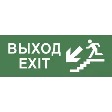 Самоклеящаяся этикетка ЭРА INFO-SSA-109 330х120мм ''Выход/лестница вниз/фигура'' SSA-101/DPA-301