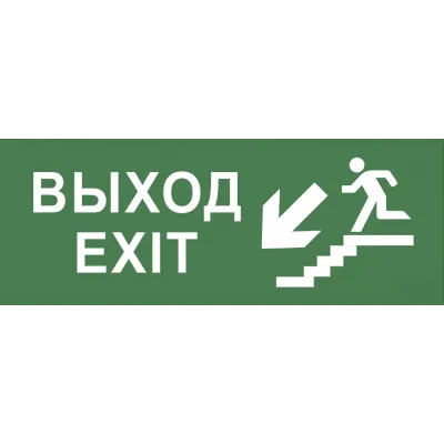 Самоклеящаяся этикетка ЭРА INFO-SSA-109 330х120мм ''Выход/лестница вниз/фигура'' SSA-101/DPA-301