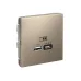 ARTGALLERY USB розетка A + тип-C 45Вт высокоскор.заряд. QC, PD, механизм, шампань