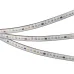Лента светодиодная 11 Вт/м 24В 6000K IP67 120LED/м SPI-A120-10mm SMD 2835 5 м герметичная